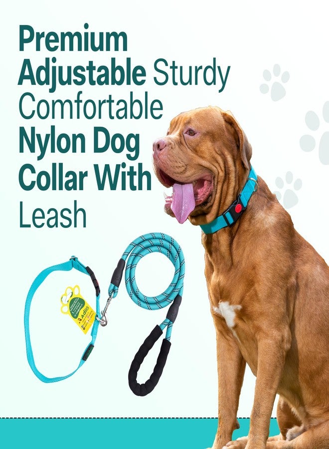 ADIL'S Adil’S Nylon Dog Collar & Leash Set Combo Suitable for All Dog Breeds, Reflective Soft Padded Handles for Running, Walking & Training, Leash Size 5ft, Collar Size: L (Teal Color) - Image 5
